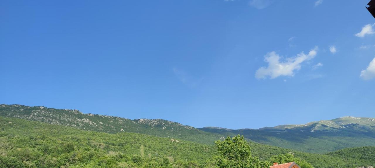 Apartments Vela - Pestani, Ohrid Kültér fotó